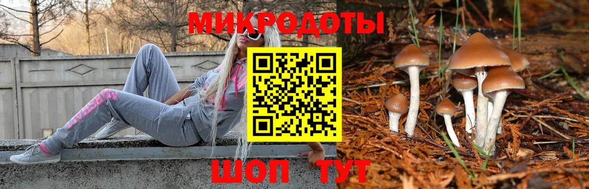 Галлюциногенные грибы Psilocybe  купить наркотик  Темрюк  Вход с VPN 